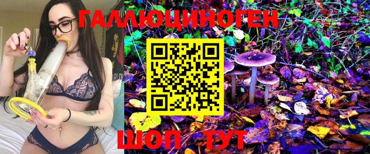 Лосино-Петровский  Псилоцибиновые грибы Psilocybe  Галлюциногенные грибы мицелий  Вход с VPN 